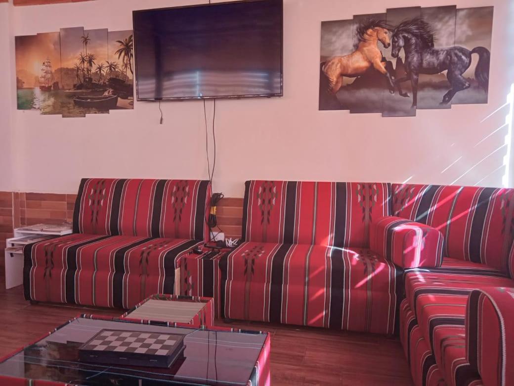 Petra Cabin Hostel Ουάντι Μούσα Εξωτερικό φωτογραφία